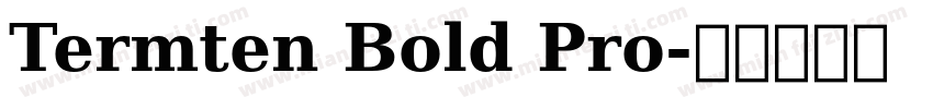 Termten Bold Pro字体转换